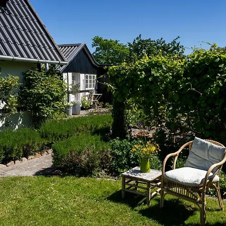 Bed & Breakfast Svenskebakken *