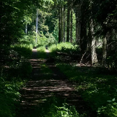 Svenskebakken Alojamento de Acomodação e Pequeno-almoço 3*