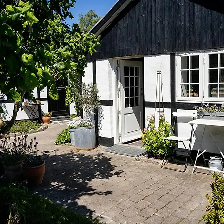 Bed & Breakfast Svenskebakken