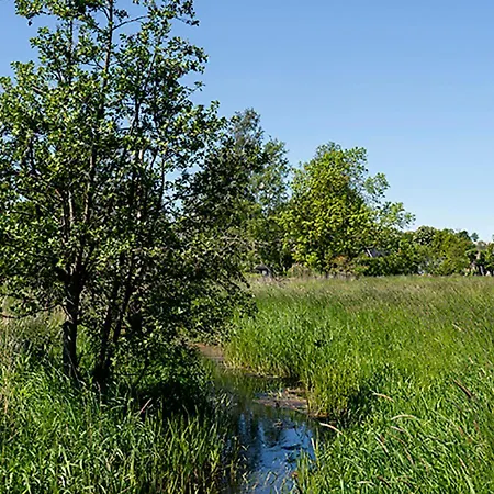 Svenskebakken * Roskilde