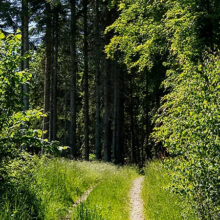 Svenskebakken Roskilde