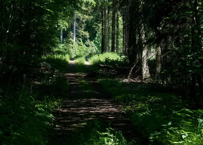 Svenskebakken Couette-café 3*