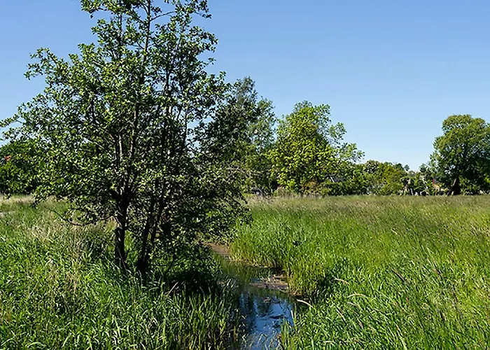 Svenskebakken 3* Roskilde