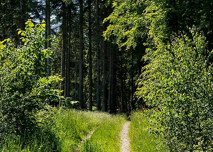 Svenskebakken Roskilde