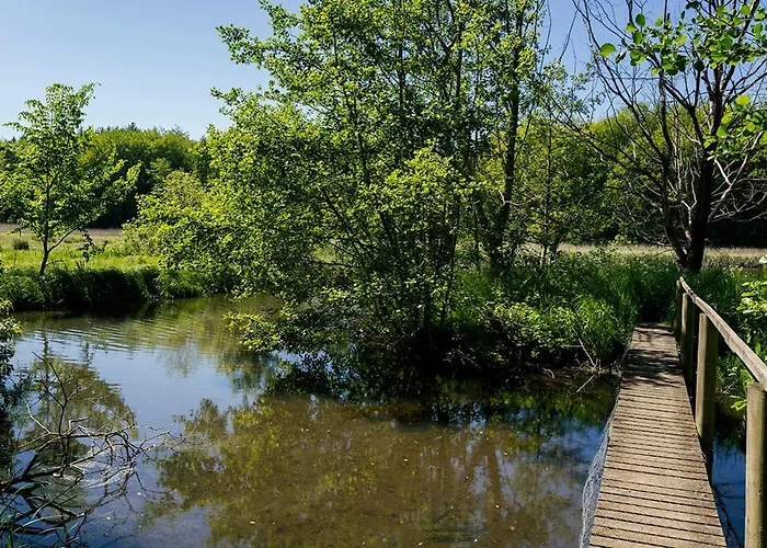 Couette-café Svenskebakken 3*